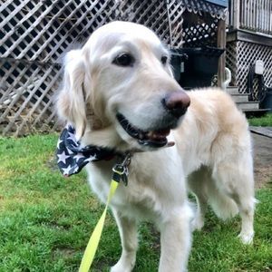 Meet your Posher, Jackie